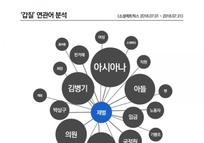 [데이터N] 7월 갑질 연관어 '아시아나'와 '김병기' 도배