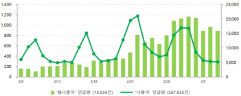 [데이터N] 경주 황리단길·종로 익선동... ‘봄나들이’ 명소로 가장 많이 언급