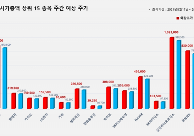 <빅터뉴스 주가 예측> 코스피 시가총액 상위 15선_8월17일