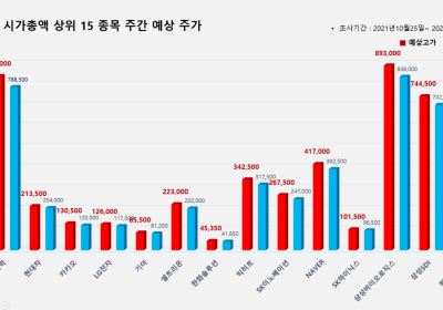 <빅터뉴스 주가 예측> 코스피 시가총액 상위 15선_10월25일