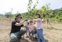 이마트, ‘내일의 숲’ 조성하고 숲 가꾸기 나서