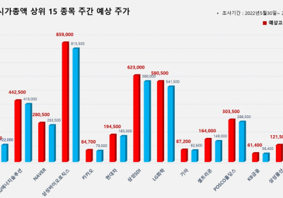 <빅터뉴스 주가 예측> 코스피 시가총액 상위 15선_5월 30일