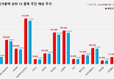 <빅터뉴스 주가 예측> 코스피 시가총액 상위 15선_6월 13일