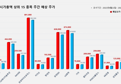 <빅터뉴스 주가 예측> 코스피 시가총액 상위 15선_8월 22일