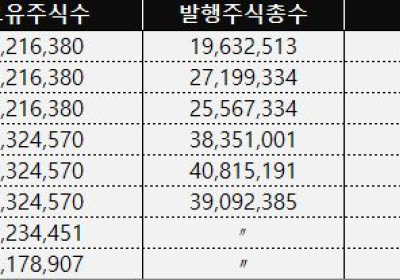 '헷갈리는 공시' 쉰들러 의도 있었나