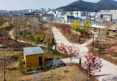 전남도립미술관 주변 ‘광양 도시바람길 숲’ 조성