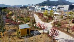 전남도립미술관 주변 ‘광양 도시바람길 숲’ 조성