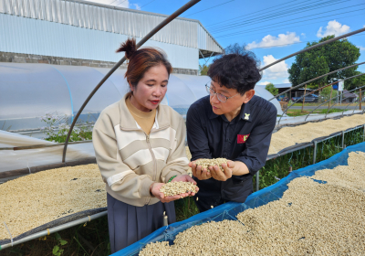 <라오스 커피 심장부, 볼라벤 고원을 가다>  ③ 소규모 자작농의 일터, 커피 가든(Coffee Garden)