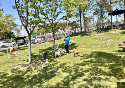 순천만정원박람회 반려견 돌봄서비스 호평