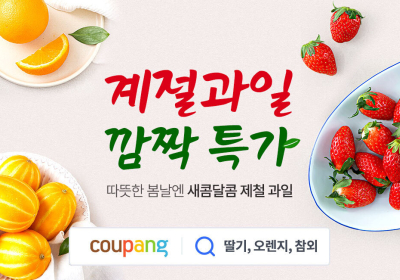 쿠팡, 과일 약 450톤 매입해 로켓프레시로 할인판매