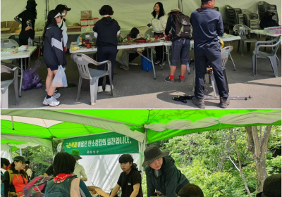 보성다향제 등 통합대축제에 21만여명 방문