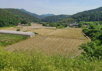 전남도 ‘유기농 생태마을’ 100개 육성