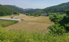 전남도 ‘유기농 생태마을’ 100개 육성