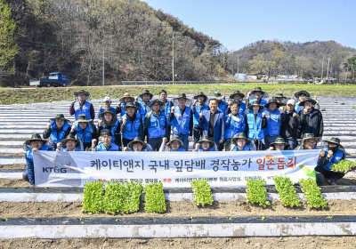 KT&G, 경북 산불피해 잎담배 농가 지원 봉사활동