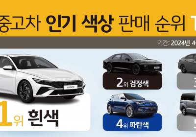 “흰색 중고차가 가장 많이 팔려