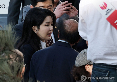 '조기 대선 영향 우려' 누리꾼들 