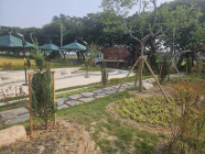 함평군, '생활속 정원' 조성 완료