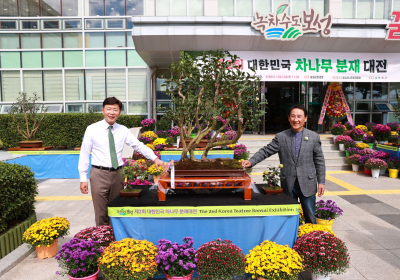 보성군 24일부터 3일간 축제에 물든다